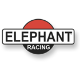 Elephant Racing